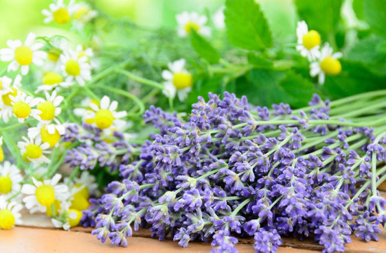 Lavender Chamomile Perfume 